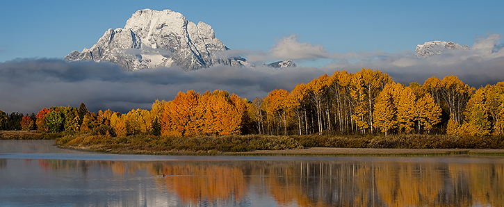 Mount Moran with Fall Color and Fog at Oxbow Bend, Jackson Hole, WY
